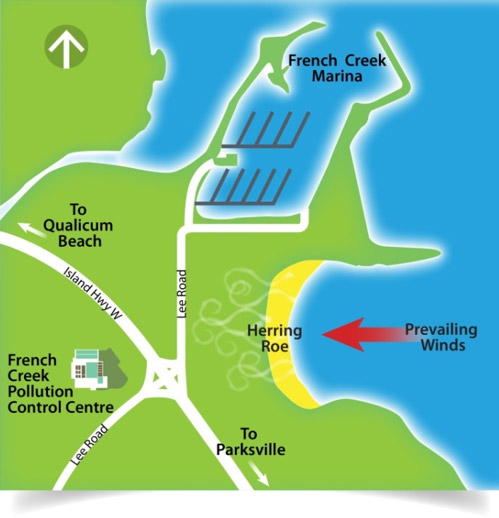 Annual Herring Roe Spawn Causes Strong Odours in French Creek